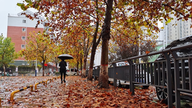 雨中周口，別有一番韻味